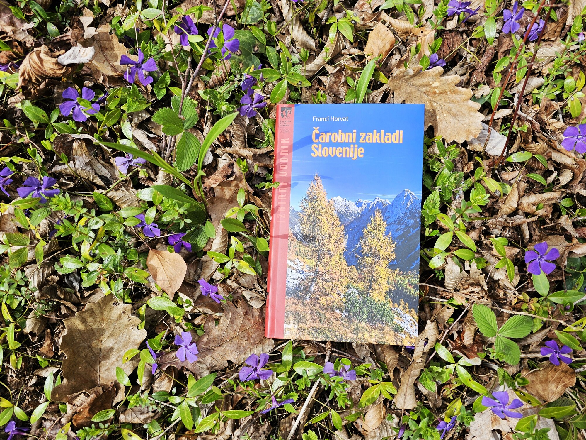 carobni-zakladi-slovenije-foto-manca-ogrin (8)