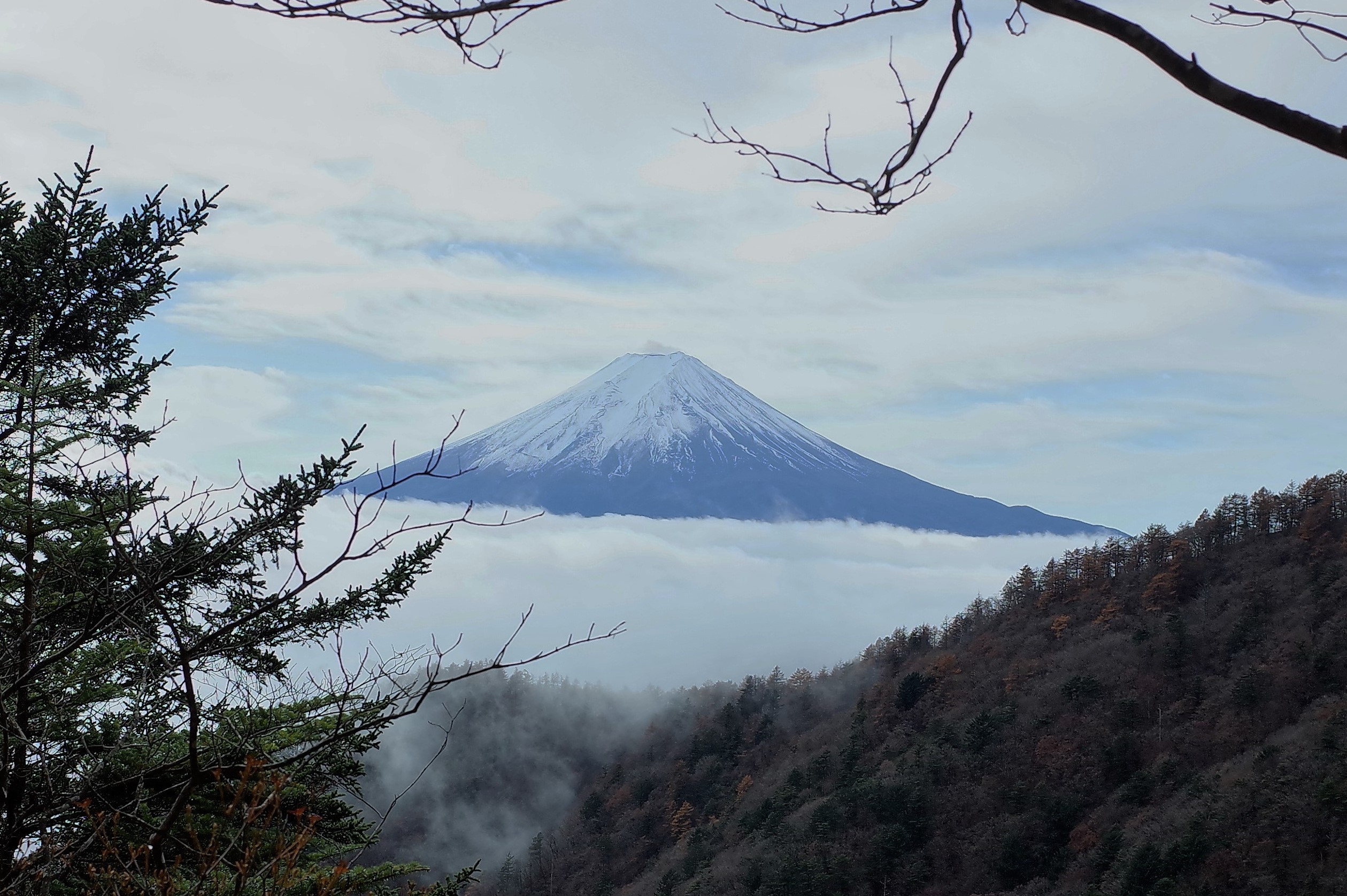 FUJI 2