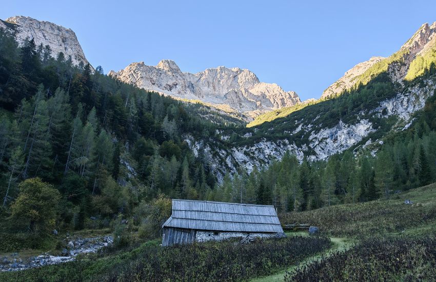 bavski_grintavec