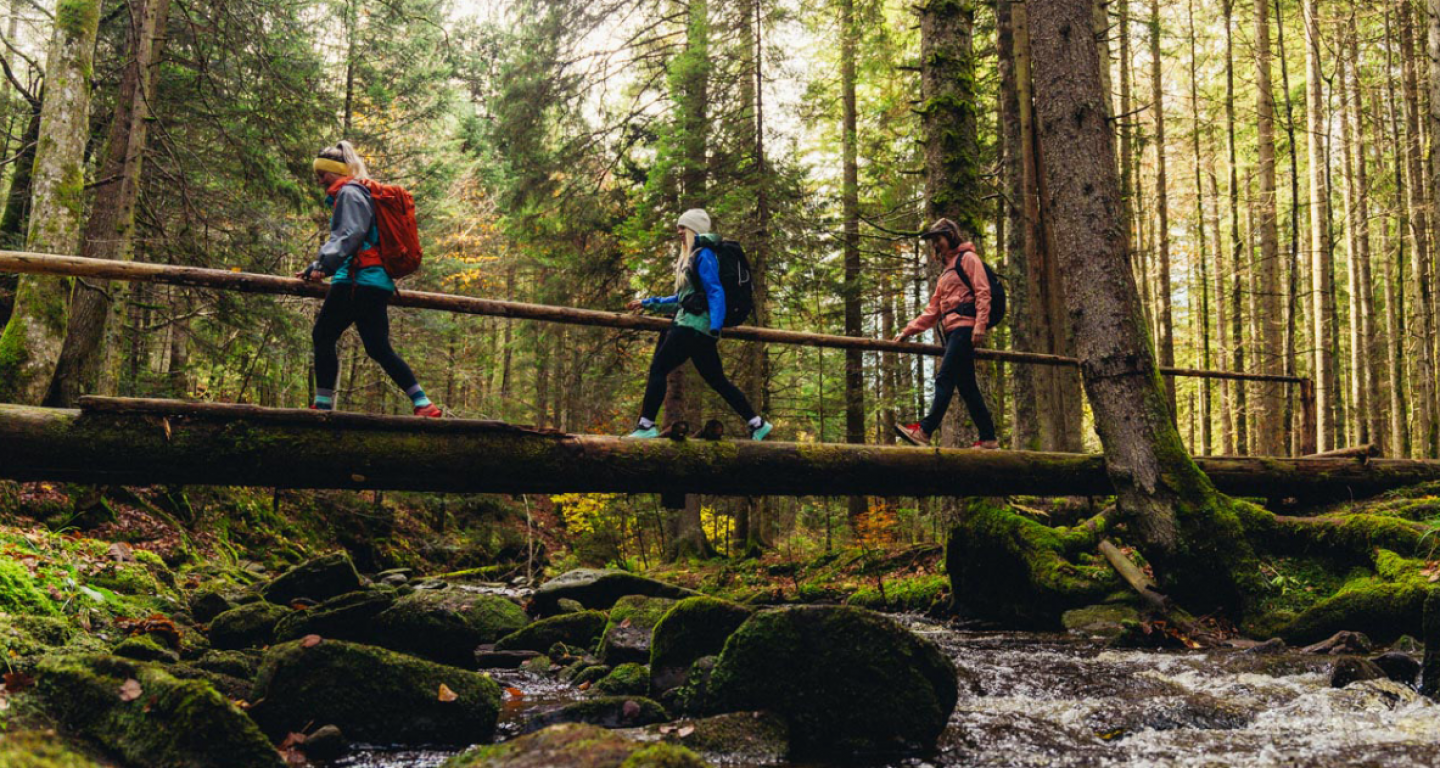 Dan slovenskih planincev in otvoritev poti Pohorje-Kozjak Trail