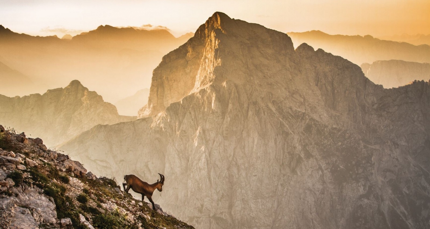 Razpis za odkup digitalnih fotografij za Planinski koledar 2027