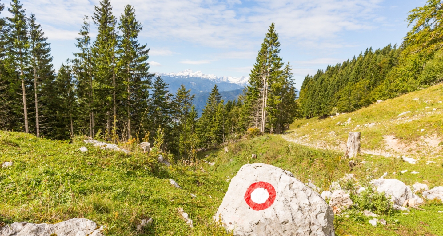 Katera bo naj planinska pot 2026?