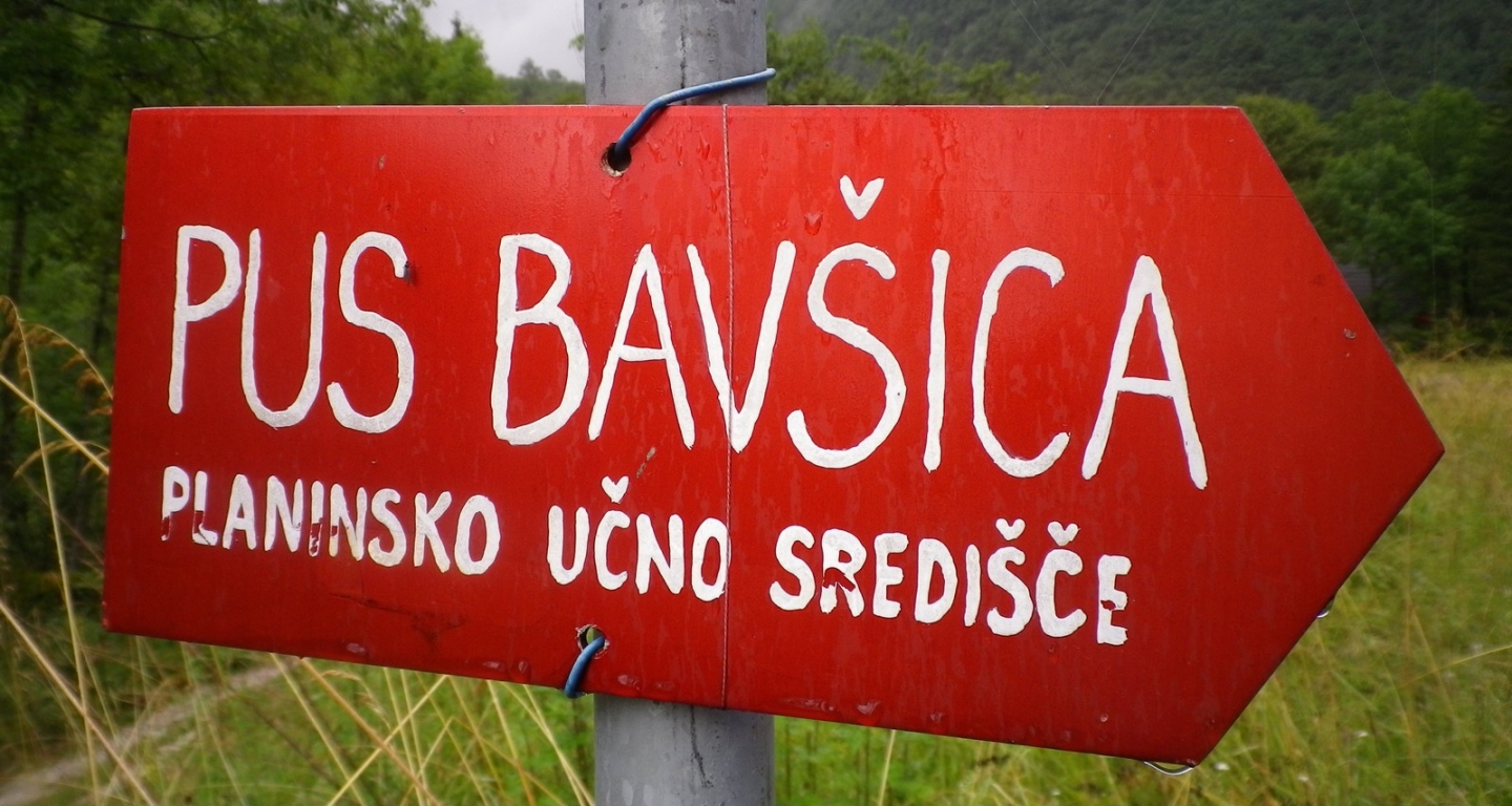 Usposabljanja strokovnih delavcev v športu PZS