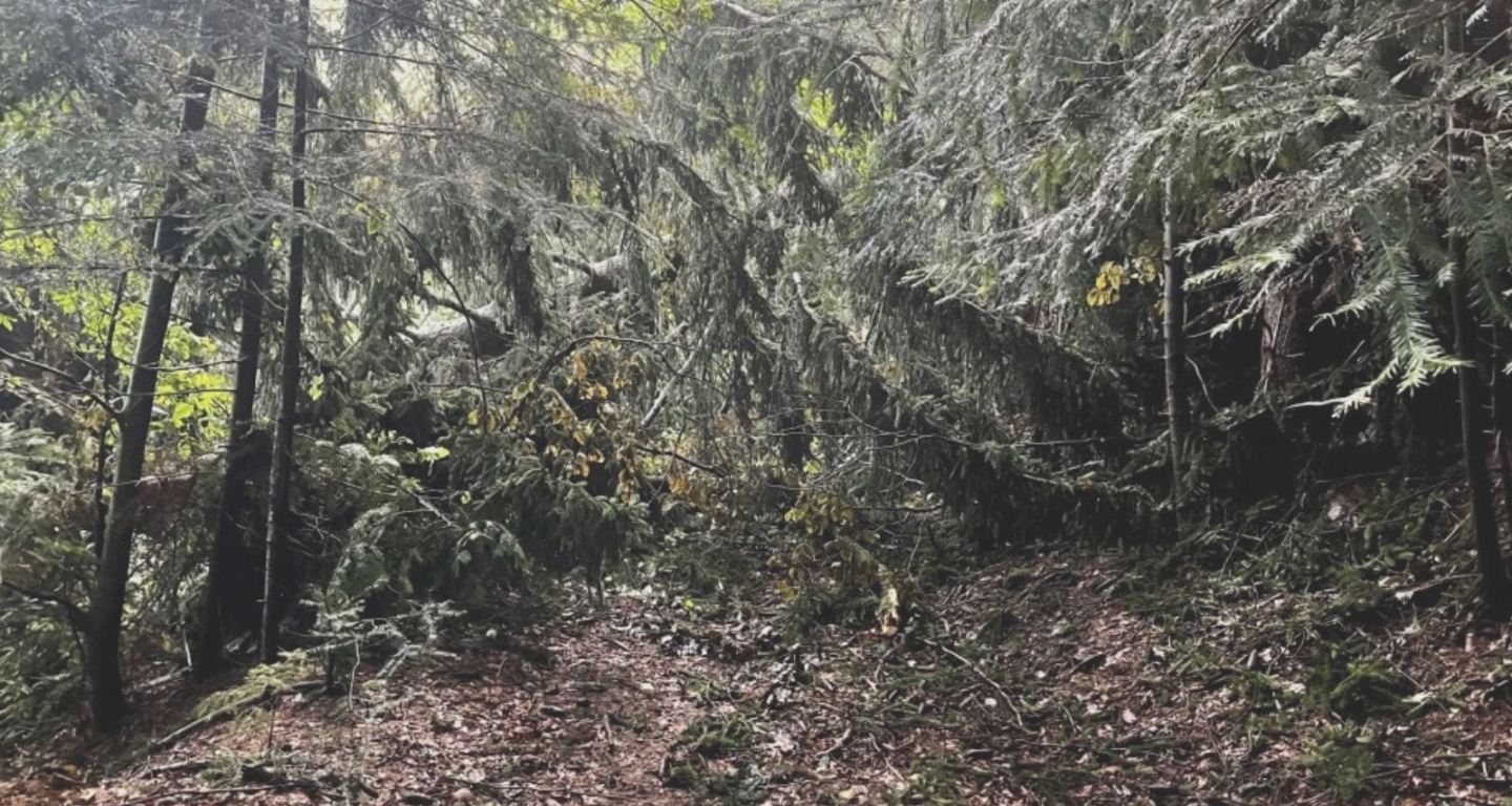 ZAPRTE POTI | vetrolom v marcu 2026